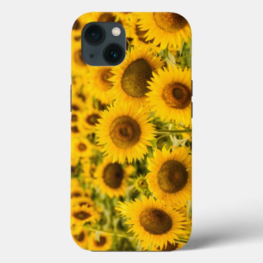Farms | A Sunflower Field Case-Mate iPhone Case (Achterkant)