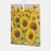 Farms | A Sunflower Field Glas Ornament (Voorkant links)