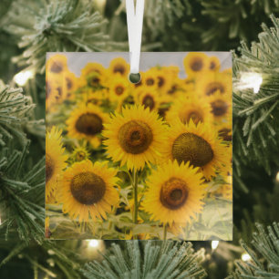 Farms   A Sunflower Field Glas Ornament