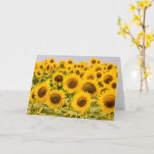 Farms | A Sunflower Field Kaart (Gele Bloem)