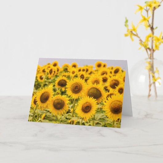Farms | A Sunflower Field Kaart (Gele Bloem)
