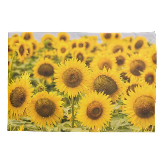 Farms | A Sunflower Field Kussensloop (Achterkant)