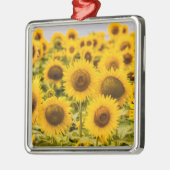 Farms | A Sunflower Field Metalen Ornament (Links)