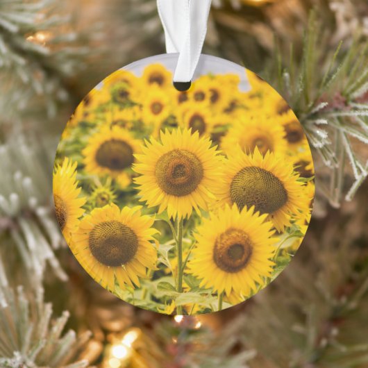 Farms | A Sunflower Field Ornament (Boom)