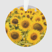 Farms | A Sunflower Field Ornament (voorkant)