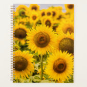 Farms | A Sunflower Field Planner (Voorkant)