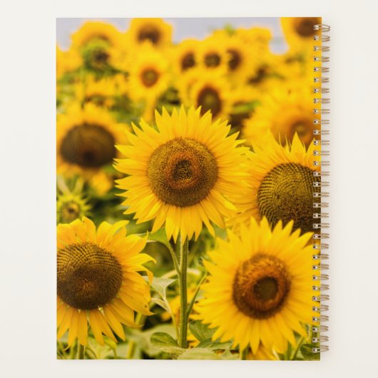 Farms | A Sunflower Field Planner (Achterkant)