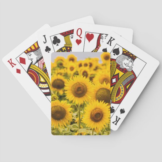 Farms | A Sunflower Field Pokerkaarten (Achterkant)