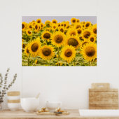 Farms | A Sunflower Field Poster (Keuken)