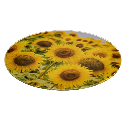 Farms | A Sunflower Field Snijplank (Hoek)