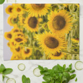 Farms | A Sunflower Field Theedoek (Gevouwen)