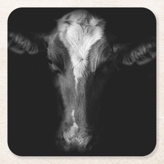 Farms | B&W Cow Head Shot Kartonnen Onderzetters (Voorkant)