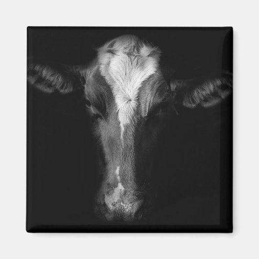 Farms | B&W Cow Head Shot Magneet (Voorkant)