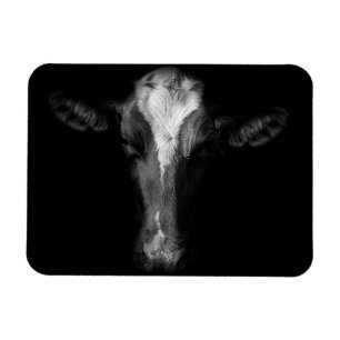 Farms B&W Cow Head Shot Magneet