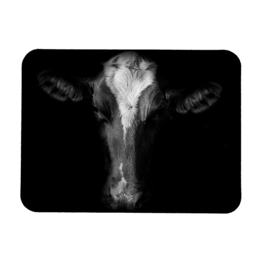 Farms | B&W Cow Head Shot Magneet (Horizontaal)