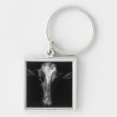 Farms | B&W Cow Head Shot Sleutelhanger (Voorkant)