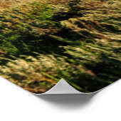 Farms Barn Shadowed by Snow Capped Mountains Poster (Hoek)