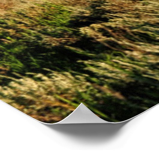 Farms Barn Shadowed by Snow Capped Mountains Poster (Hoek)