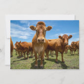 Farms Brown Cow Group Bedankkaart (Voorkant)