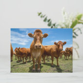 Farms Brown Cow Group Bedankkaart (Staand voorkant)