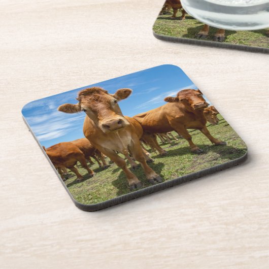 Farms Brown Cow Group Bier Onderzetter (Linkerzijde)