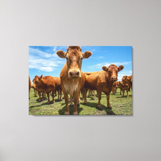 Farms Brown Cow Group Canvas Afdruk (Voorkant)