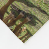 Farms Brown Cow Group Fleece Deken (Hoek)