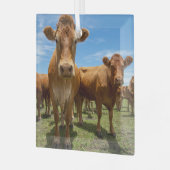 Farms Brown Cow Group Glas Ornament (Voorkant links)