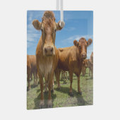 Farms Brown Cow Group Glas Ornament (Voorkant Rechts)