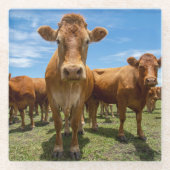 Farms Brown Cow Group Glazen Onderzetter (Voorkant)