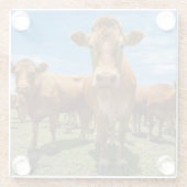 Farms Brown Cow Group Glazen Onderzetter (Achterkant)