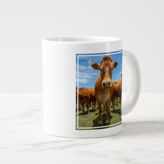 Farms Brown Cow Group Grote Koffiekop (Voorkant rechts)