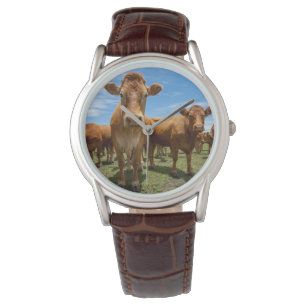 Farms Brown Cow Group Horloge