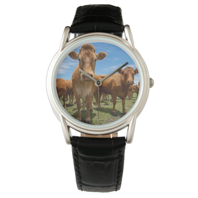 Farms | Brown Cow Group Horloge (Voorkant)