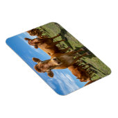 Farms Brown Cow Group Magneet (Rechterzijde)