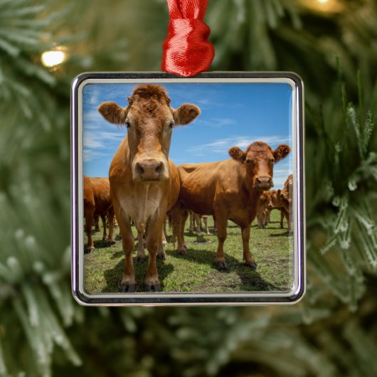 Farms Brown Cow Group Metalen Ornament (Boom)