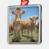 Farms Brown Cow Group Metalen Ornament (Links)