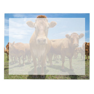 Farms Brown Cow Group Notitieblok