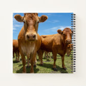 Farms Brown Cow Group Notitieboek (Achterkant)