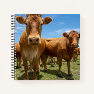 Farms Brown Cow Group Notitieboek