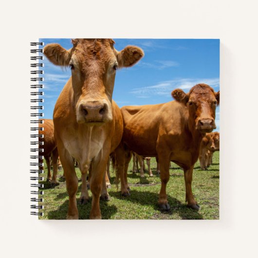 Farms Brown Cow Group Notitieboek (Voorkant)