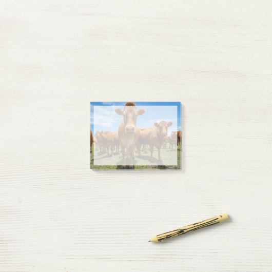 Farms Brown Cow Group Post-it® Notes (Op bureau)