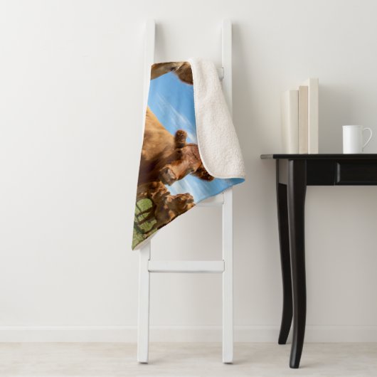 Farms Brown Cow Group Sherpa Deken (In situ)