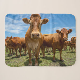 Farms Brown Cow Group Sherpa Deken