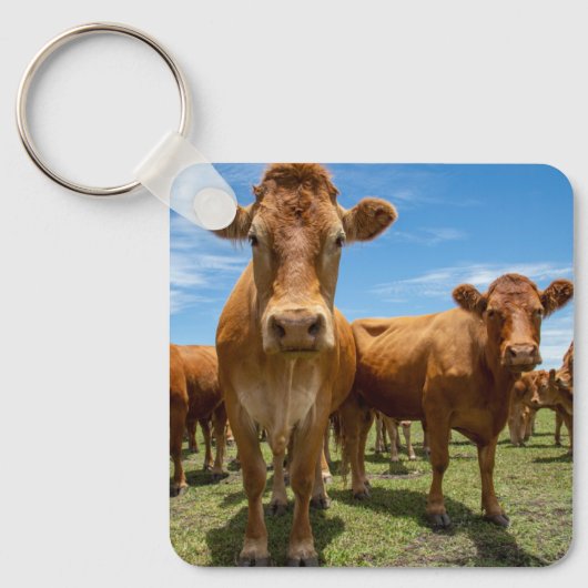 Farms Brown Cow Group Sleutelhanger (Voorkant)