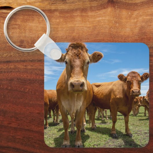 Farms Brown Cow Group Sleutelhanger (Voorkant)
