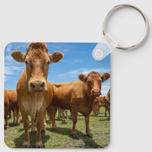 Farms Brown Cow Group Sleutelhanger (Achterkant)