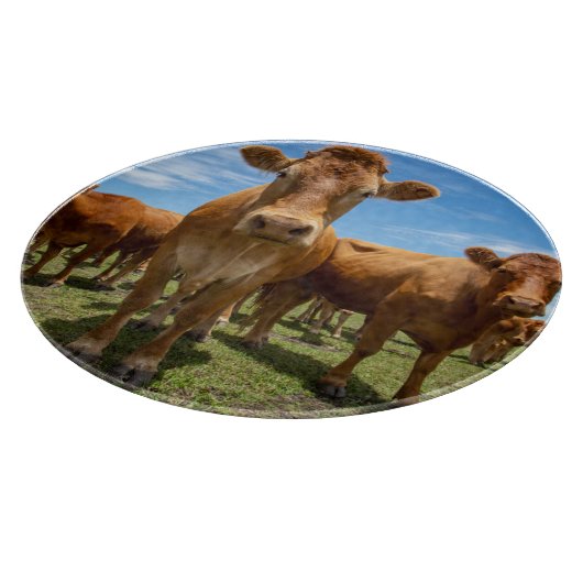 Farms | Brown Cow Group Snijplank (Hoek)