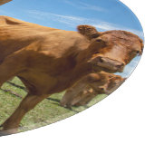 Farms | Brown Cow Group Snijplank (Hoek)