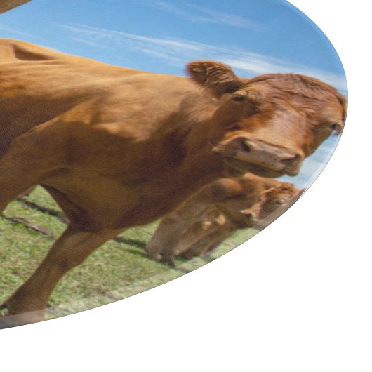 Farms | Brown Cow Group Snijplank (Hoek)